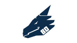 Bad Dragon logo featuring stylized navy dragon head with BD text