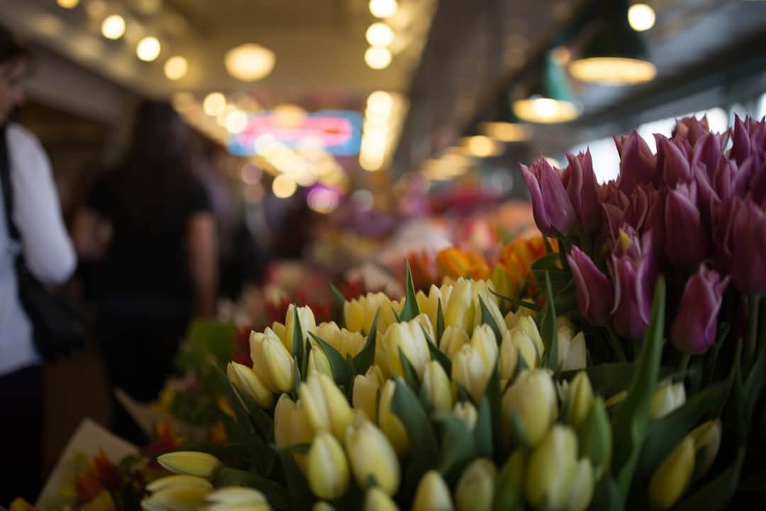 Fresh cut tulips at Seattle flower market display