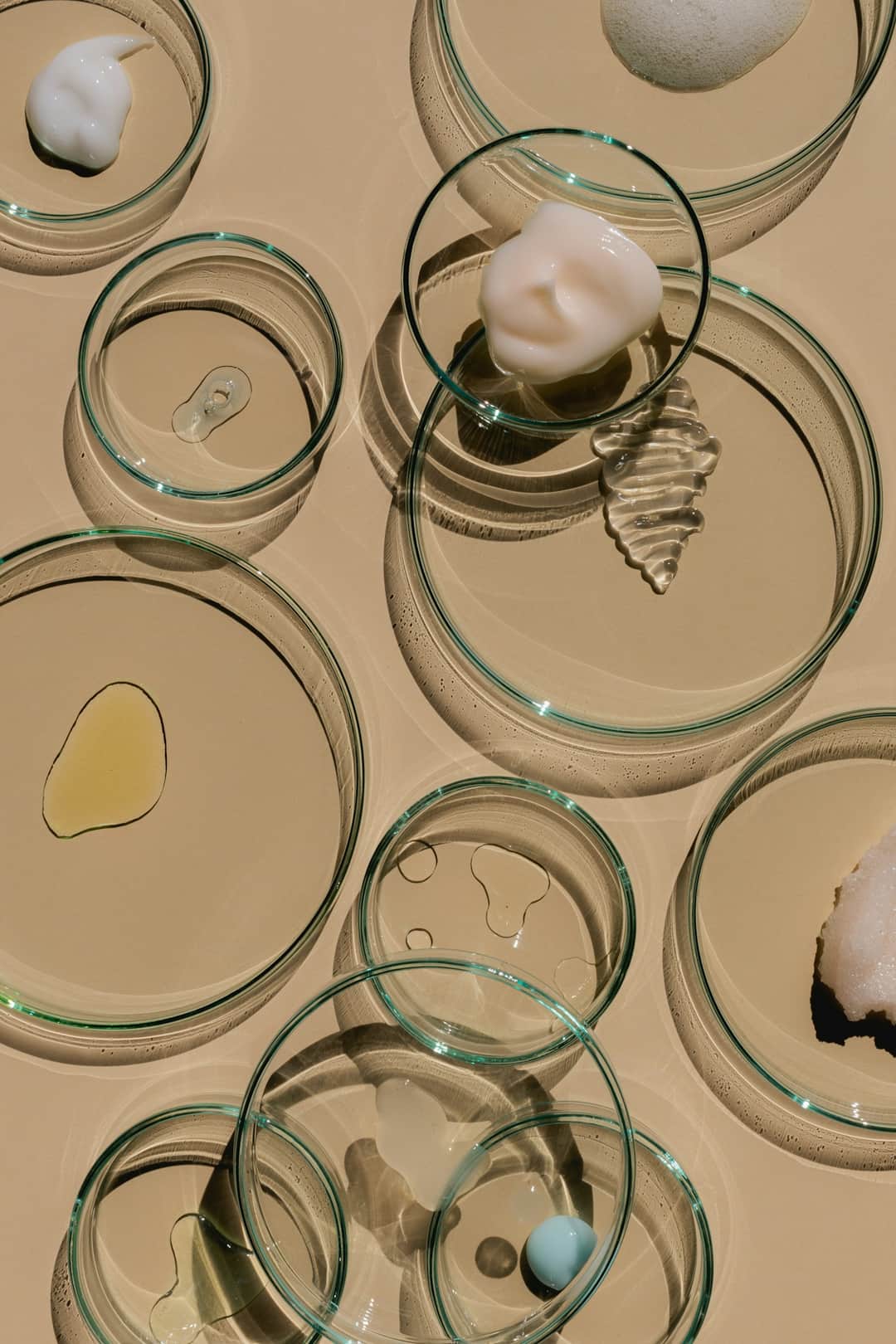 Moisturiser textures in petri dishes comparing skincare product formulations