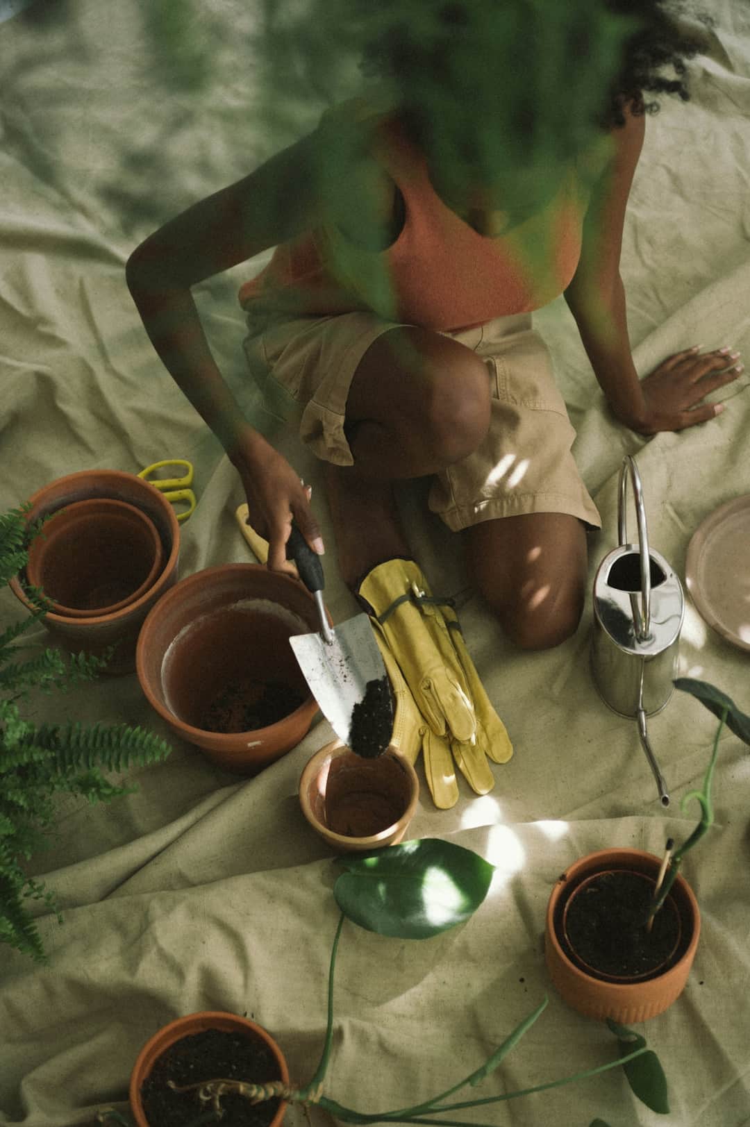 Gardener potting fresh plants in terracotta pots with soil and tools