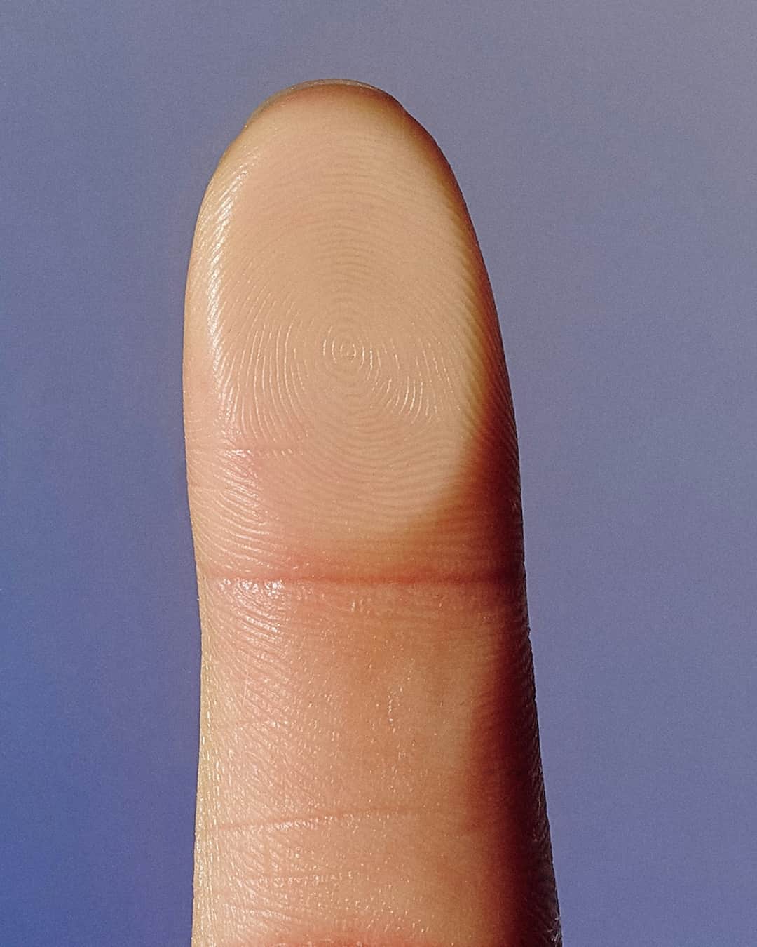 Fingerprint showing unique ridge patterns, symbolizing human identity in search