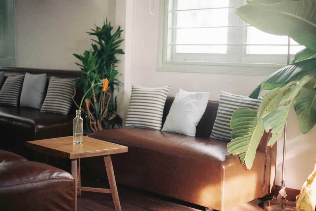 Inviting living room interior featuring leather sofa, plants, and a wooden coffee table with natural lighting. (Photo: phuong nguyen via Pexels)