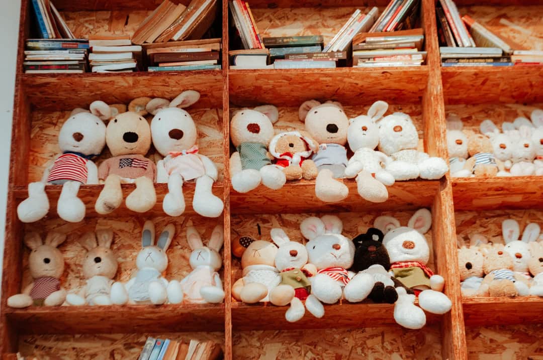 Cozy shelves filled with an adorable array of stuffed animals and books, perfect for a playful room decor. (Photo: 🇻🇳🇻🇳Nguyễn Tiến Thịnh 🇻🇳🇻🇳 via Pexels)