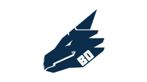 Bad Dragon logo featuring stylized navy dragon head with BD text