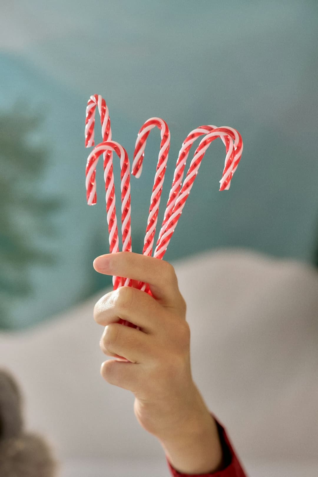 Child's hand holding three red and white candy canes