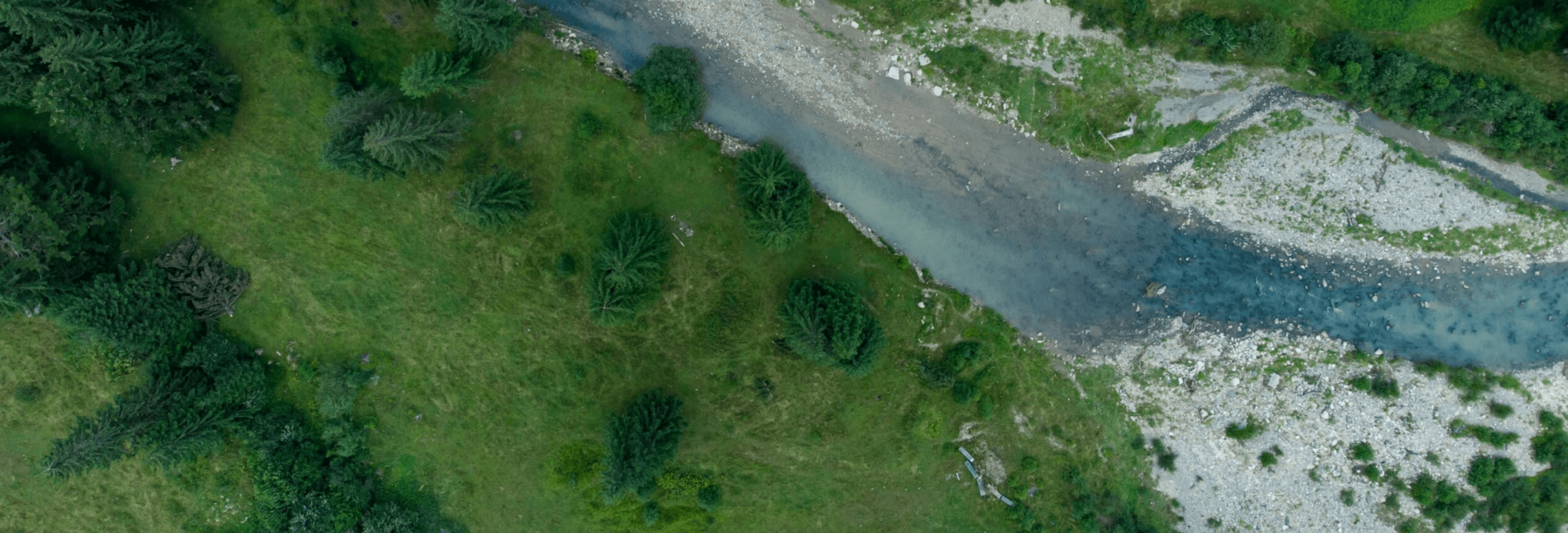 Aerial view of a green landscape with a winding river and lush vegetation, highlighting natural beauty.
