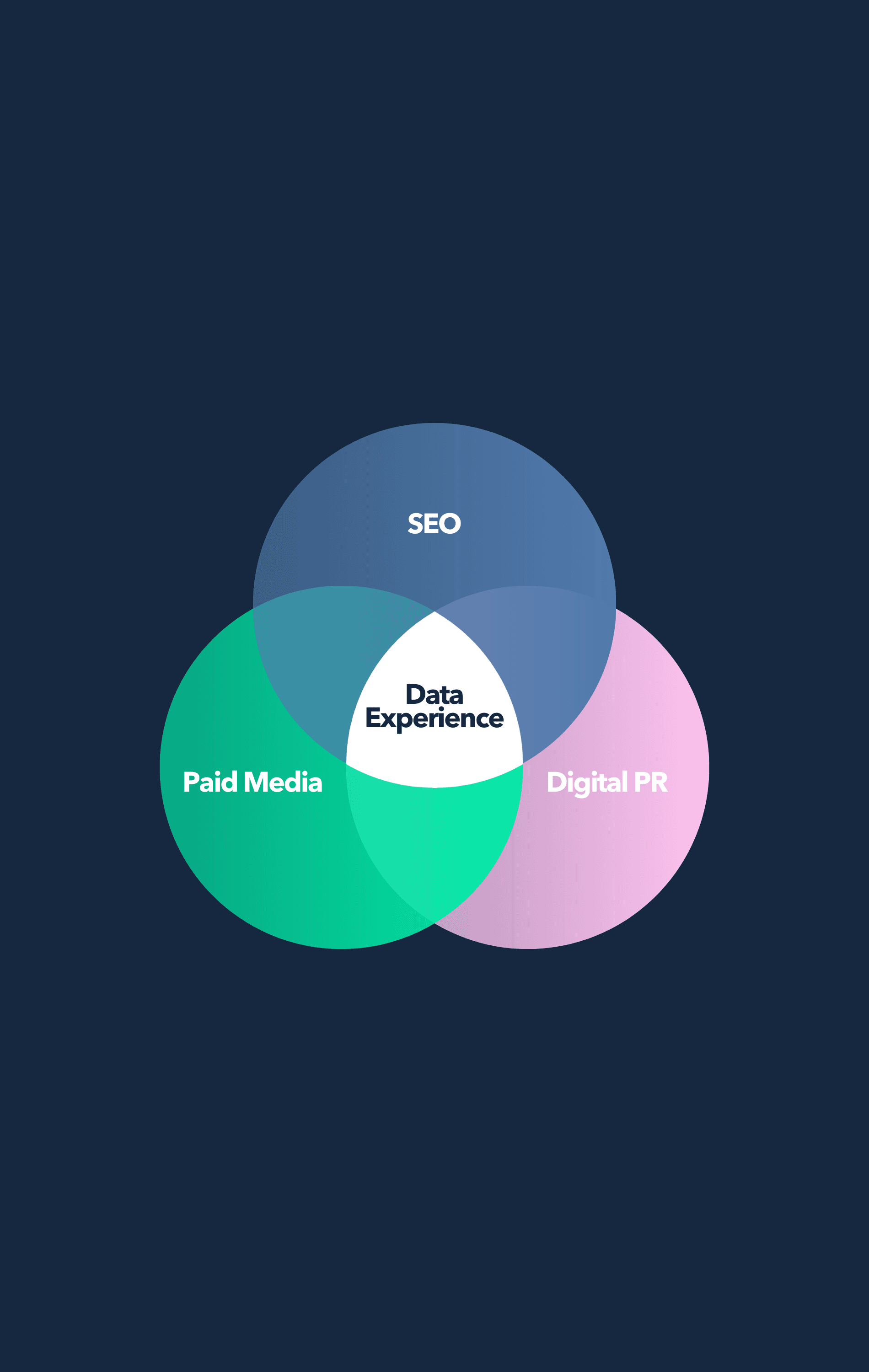 Venn diagram showing SEO, Paid Media, Digital PR, and Data Experience overlap.