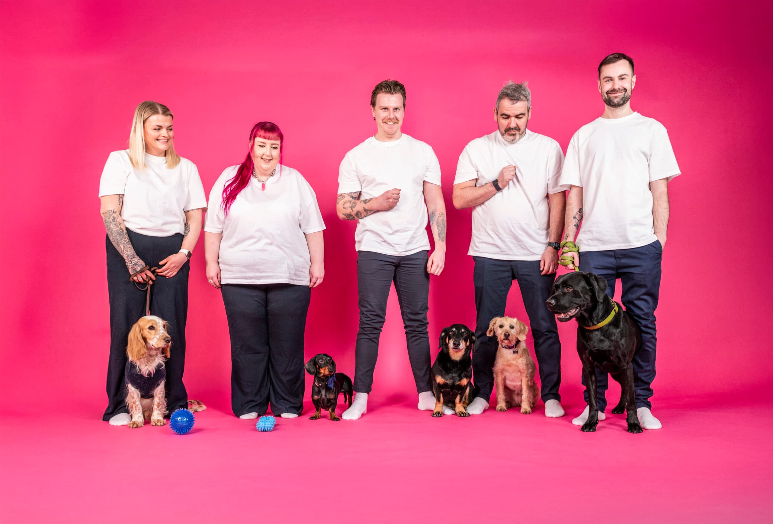 E-commerce agency team with dogs against bright pink background