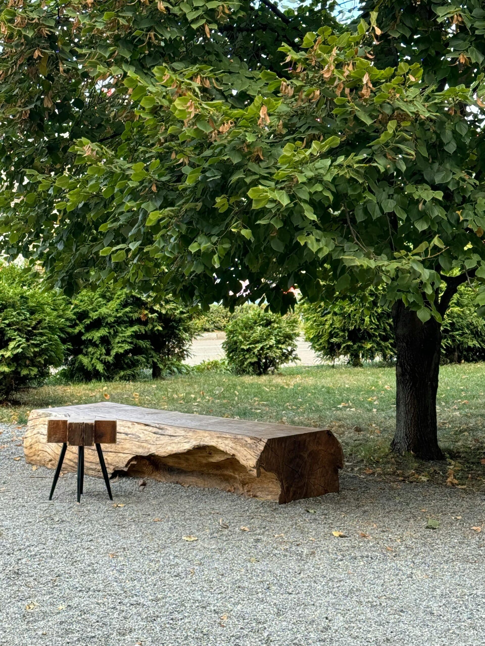 Wooden bench and rustic log table beneath ancient tree in serene park landscape