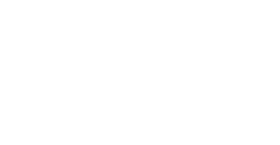 Anglian Home Improvements: Logo