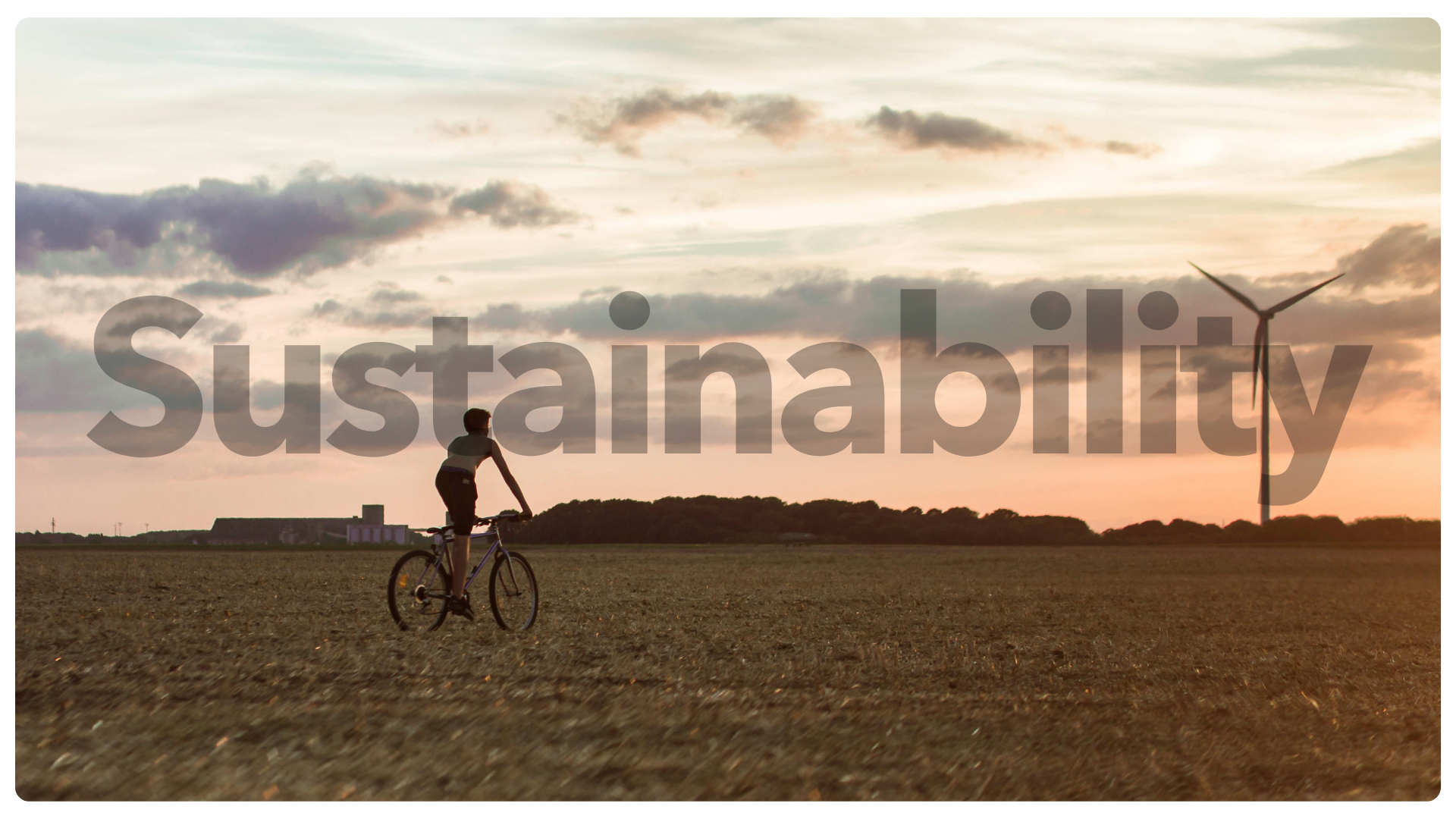 the long term sustainability of paid media vs seo - cover image