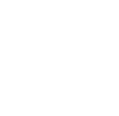 alioze logo